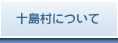 十島村について