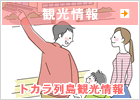 観光情報