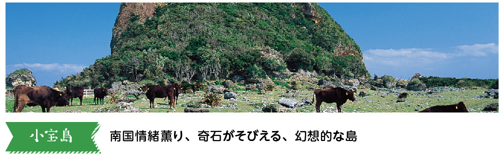 小宝島　南国情緒薫り、奇石がそびえる、幻想的な島