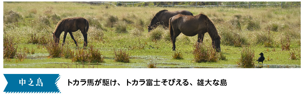 中之島　トカラ馬が駆け、トカラ富士そびえる、雄大な島