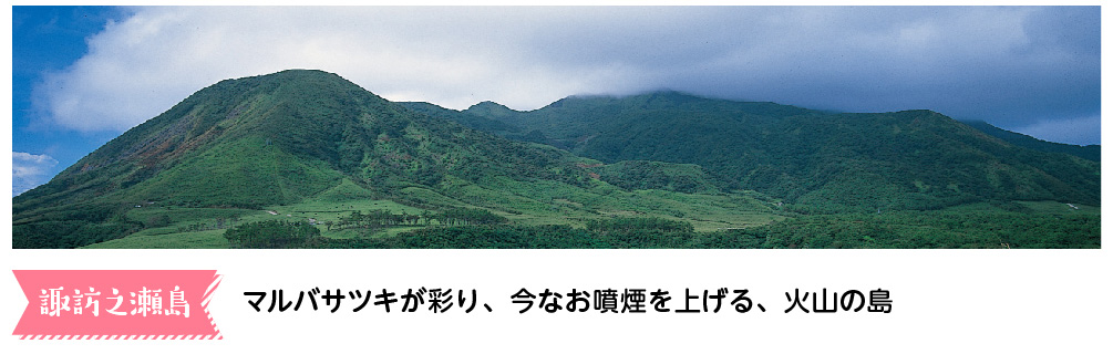 諏訪之瀬島　マルバサツキが彩り、今なお噴煙を上げる、火山の島