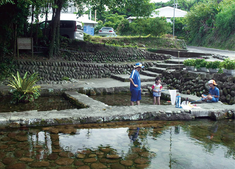 コウ（湧き水）画像