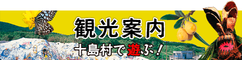 観光案内　十島村で遊ぶ