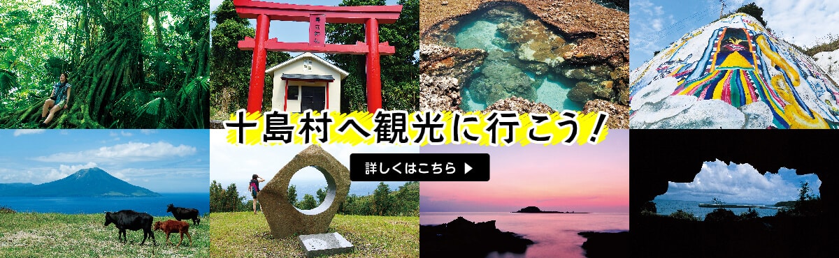 十島村へ観光に行こう