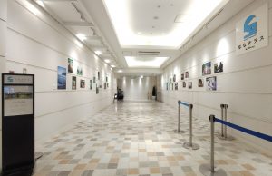トカラ写真展