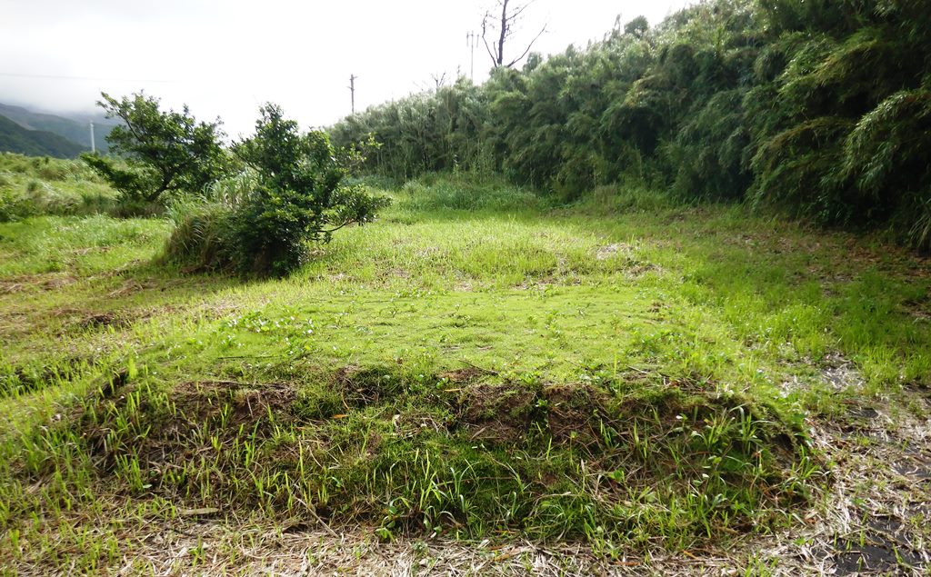 諏訪之瀬島キャンプ場キャンプサイト３